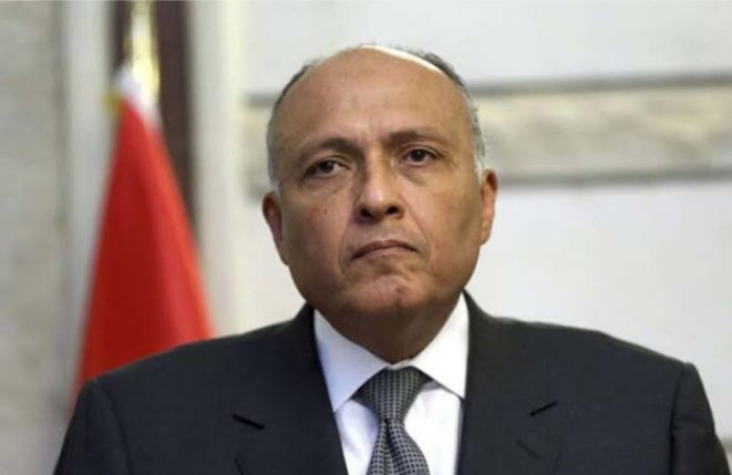 وزير الخارجية ونظيره الإيطالي يبحثان التحديات المشتركة بمنطقة البحر المتوسط