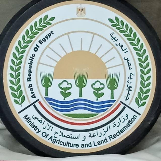 الزراعة في كل مصر.. انفوجراف لأنشطة الوزارة خلال الأسبوع الثالث من أغسطس «صور»
