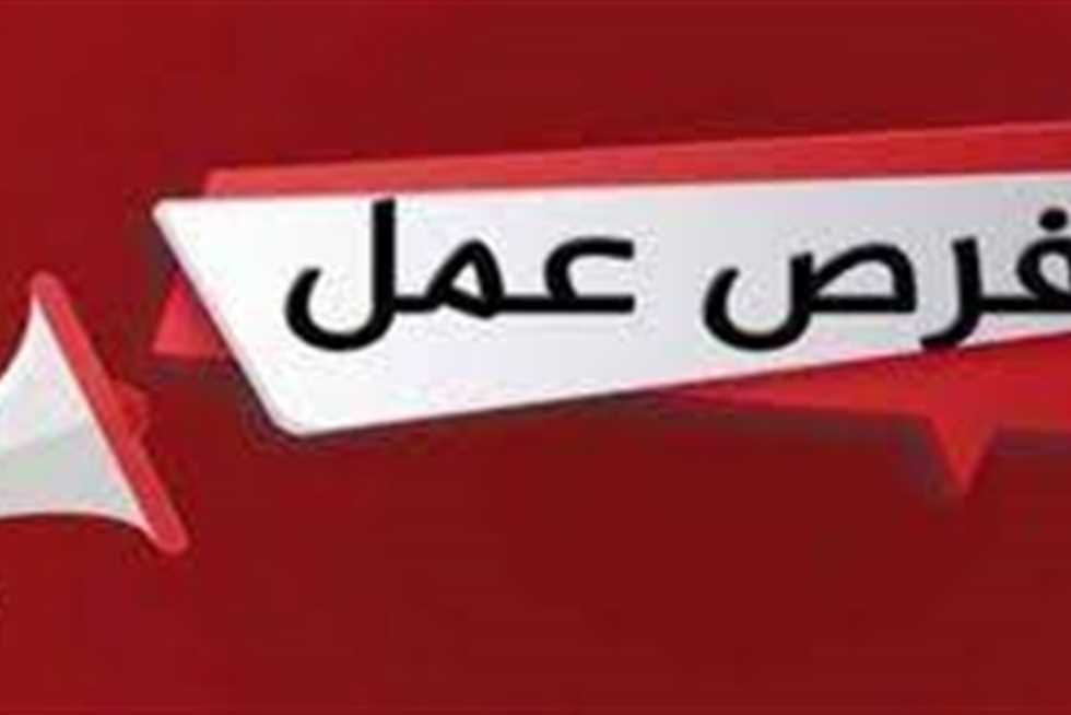 وظائف حكومية خالية في شمال سيناء.. موعد التقديم والأوراق المطلوبة