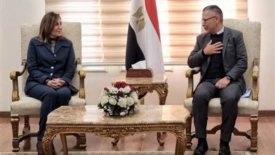 وزير الخارجية يبحث مع مسؤولة أممية جهود تعجيل إدخال المساعدات لغزة