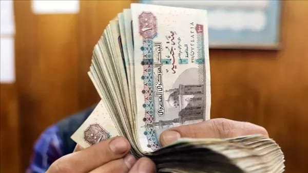 برلمانزيادة جديدة للقطاع الخاص بخلاف الحد الأدنى للأجور.. اعرف التفاصيل