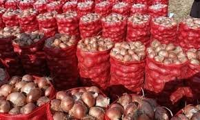 وزير الزراعة يعلن استقبال الأسواق السعودية للبصل المصري