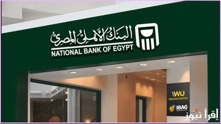 تقدم فروع البنك الأهلي المصري عددا متنوعا من حسابات الجاري والتوفير التي تتناسب مع احتياجات الأفراد داخل السوق المصري.  يضع البنك الأهلي المصري حد أدنى لرصيد الفتح على بعض الحسابات فيما يستثني أخرى، مع إتاحتها أمام المصريين والأجانب على حَدٍّ سَواءٌ.  فيما يلي حسابات الجاري والتوفير في البنك الأهلي المصري  حسابات البنك الأهلي المصري حساب التوفير العادي في البنك الأهلي المصري  – الحد الأدنى لفتح الحساب يصل إلى 3 آلاف جنيه.  – الحد الأدنى لبدء احتساب العائد على الرصيد من 3001 جنيه.  – يتاح فتح الحساب للأفراد مصريين وأجانب وقصر.  – سعر الفائدة على الحساب يبدأ من 5.50% ويصل في أعلى شريحة رصيد إلى 12.5%  حساب توفير المستقبل في البنك الأهلي المصري  – فتح الحساب لا يشترط حد أدني للرصيد.  – الحد الأدنى لبدء احتساب العائد 3001 جنيه.  – يتاح فتح الحساب من سن 16 سنة فأكثر.  – سعر الفائدة على الحساب حالياً من 8.25% حتى 8.75%، وفقا لرصيد العميل.  حساب توفير المدخر الصغير  – الحد الأدنى لفتح الحساب 1000 جنيه.  – الحد الأدنى لبدء احتساب العائد من أول 3001 جنيه.  – يمكن فتح الحساب للمصريين والقصر.  – سعر العائد على الحساب حالياً يبدأ من 9.75%  حساب توفير المعاش  – الحد الأدنى لفتح الحساب 5000 جنيه.  – الحد الأدنى لبدء احتساب العائد من أول 1000 جنيه.  – يمكن فتح الحساب للمصريين فقط.  – سعر العائد على الحساب حالياً عند 12.5%  الحساب الجاري في البنك الأهلي المصري  – الحد الأدنى لفتح الحساب 2500 جنيه.  – الحساب متاح للعملاء المصريين والأجانب والقصر.  الحساب الجاري فايدة بلس  – الحد الأدنى لفتح الحساب 10 آلاف جنيه.  – الحد الأدنى لاحتساب العائد من 50 ألف جنيه.  – سعر العائد على الحساب يومي، يصرف شهري أو ربع ونصف سنوي وسنوي.  حساب الأهلي اليومي  – الحد الأدنى لفتح الحساب 500 ألف جنيه.  – الحد الأدنى لاحتساب العائد يبدأ من 500 ألف جنيه.  – سعر الفائدة على الحساب يبدأ من حالياً من 15% حتى 22%